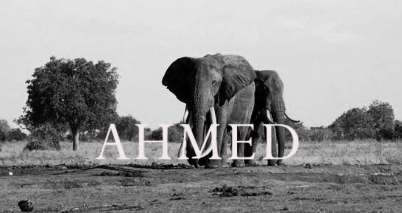 Ahmed the Elephant