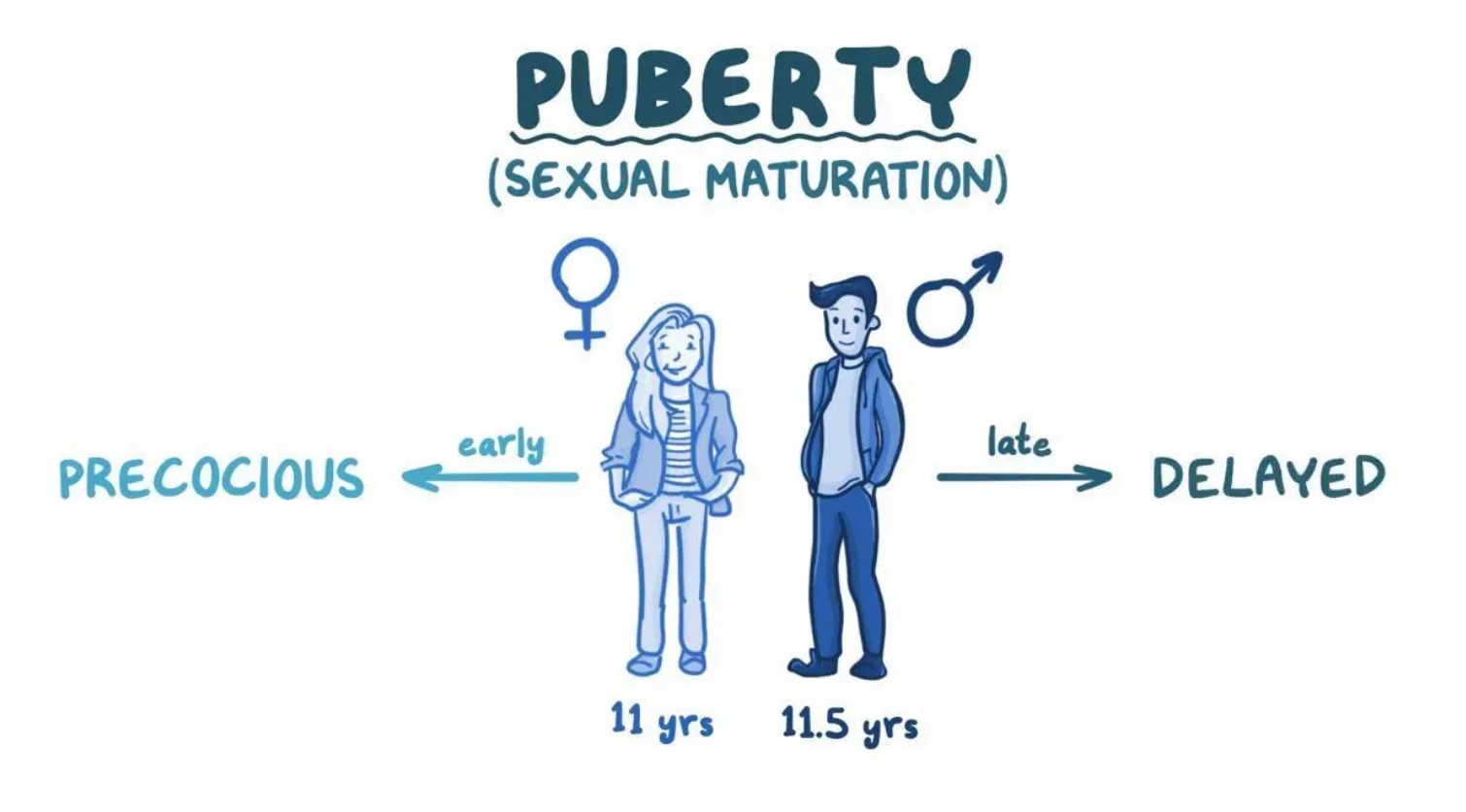 Puberty