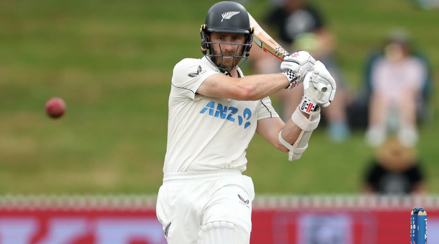 kane williamson